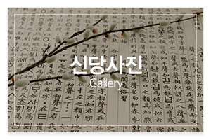 갓신내린별상애기씨_메인중간_신당사진